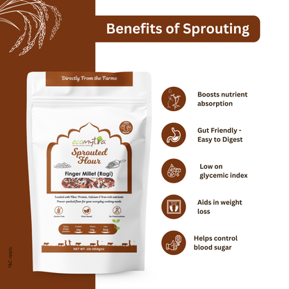 Ecomytra Sprouted Finger Millet (Ragi) Flour (1 lbs)