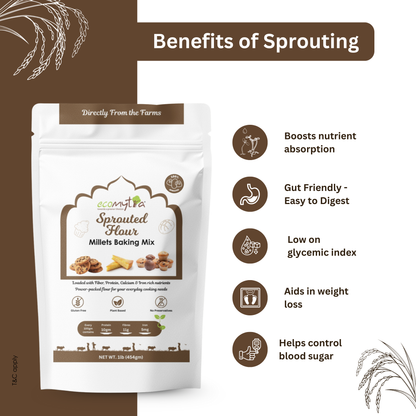 Ecomytra Sprouted Millets Baking Mix (1 lbs)