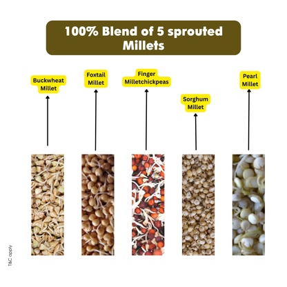 Ecomytra Super Millets Mix Sprouted Flour (1 lbs)