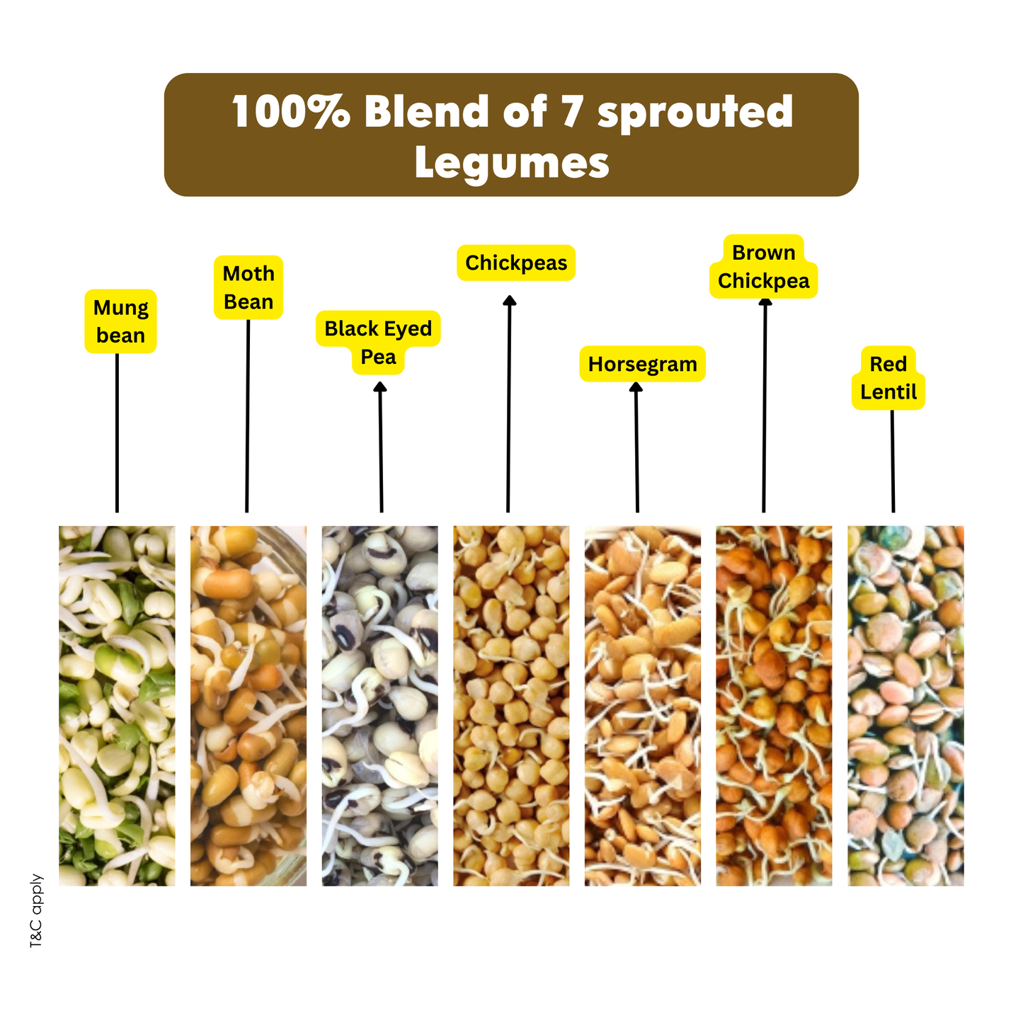 Ecomytra Super Legumes Mix Sprouted Flour (1 lbs)